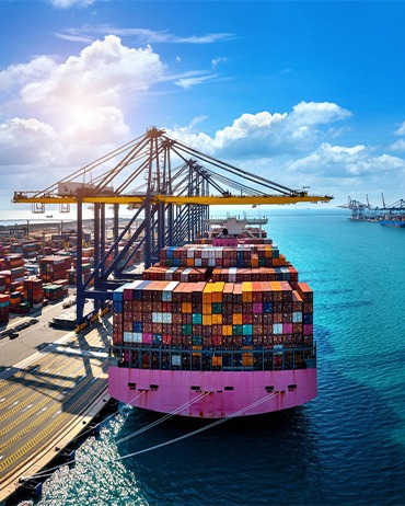 Sea freight forwarding services in Dubai